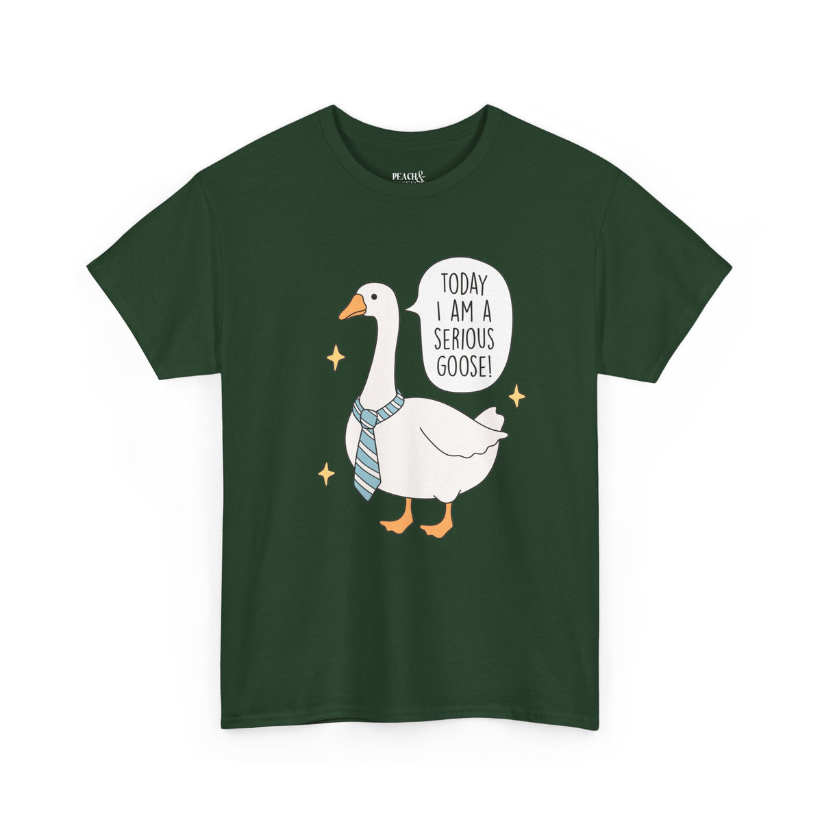 Today I Am A Serious Goose | Silly Goose | T-Shirt