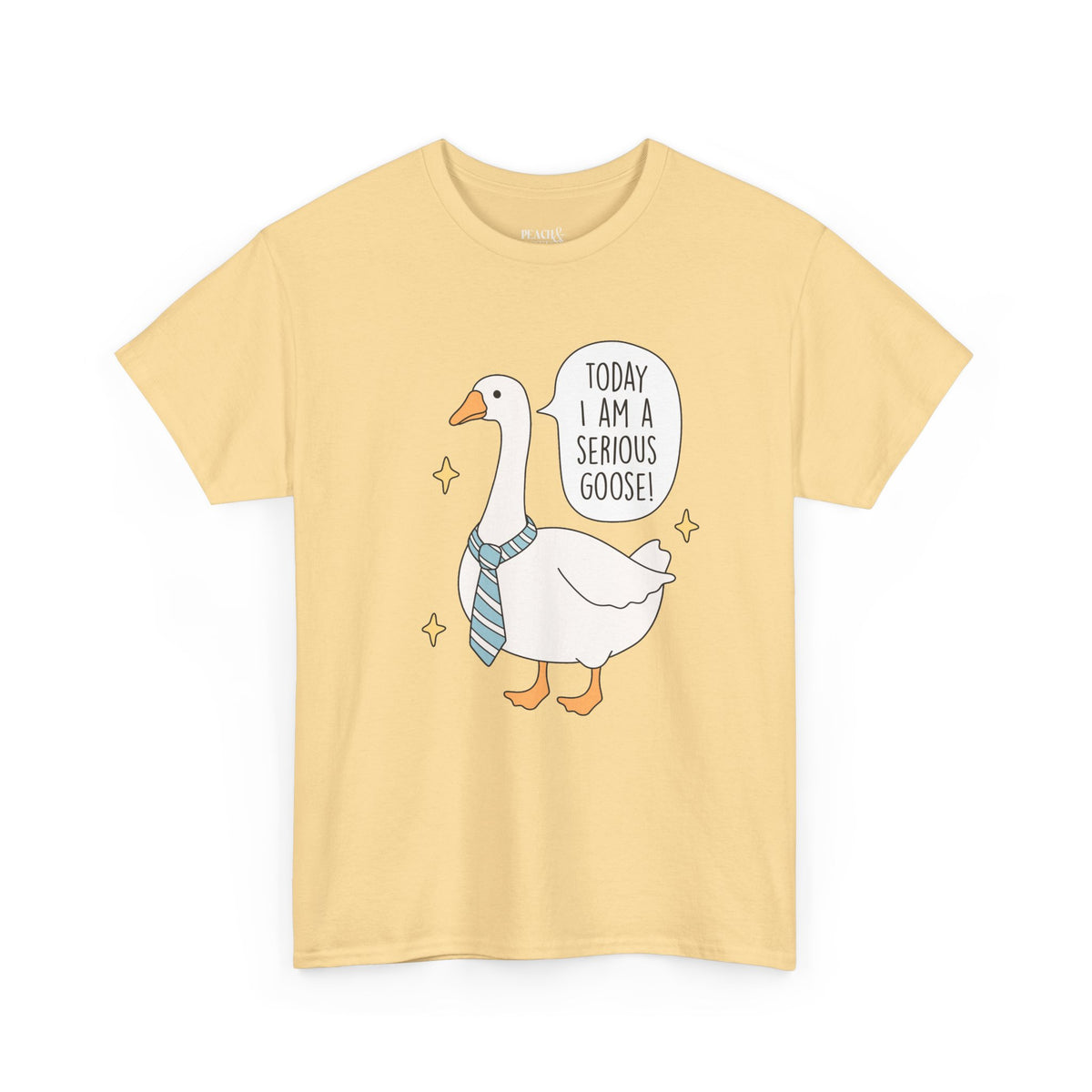 Today I Am A Serious Goose | Silly Goose | T-Shirt