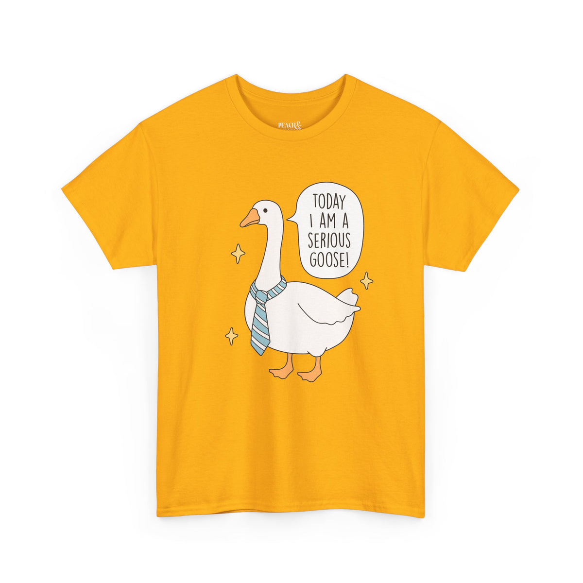 Today I Am A Serious Goose | Silly Goose | T-Shirt