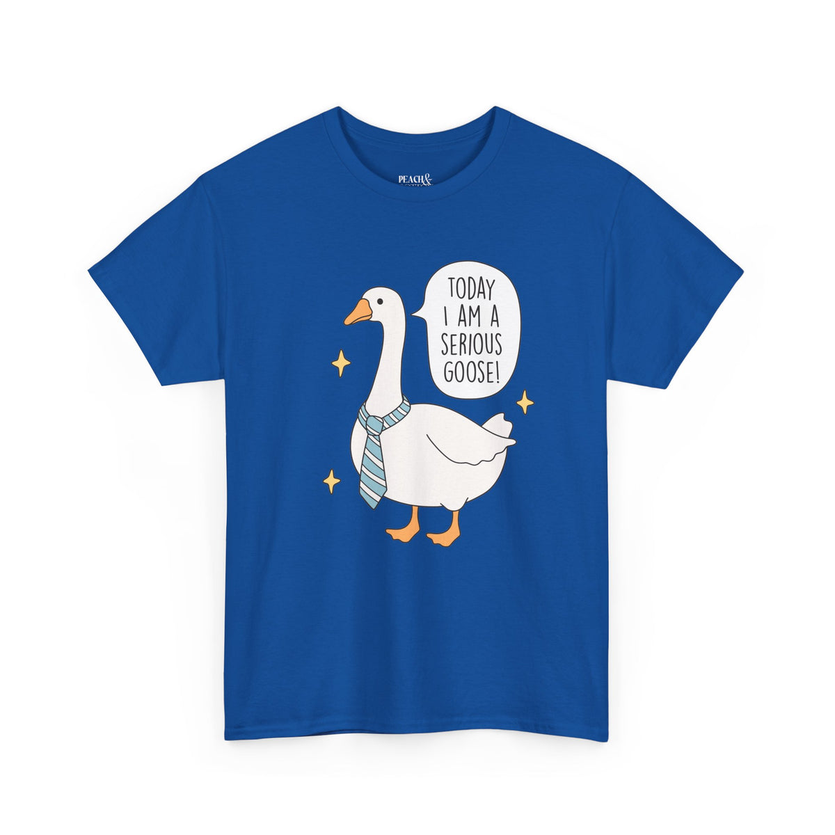 Today I Am A Serious Goose | Silly Goose | T-Shirt