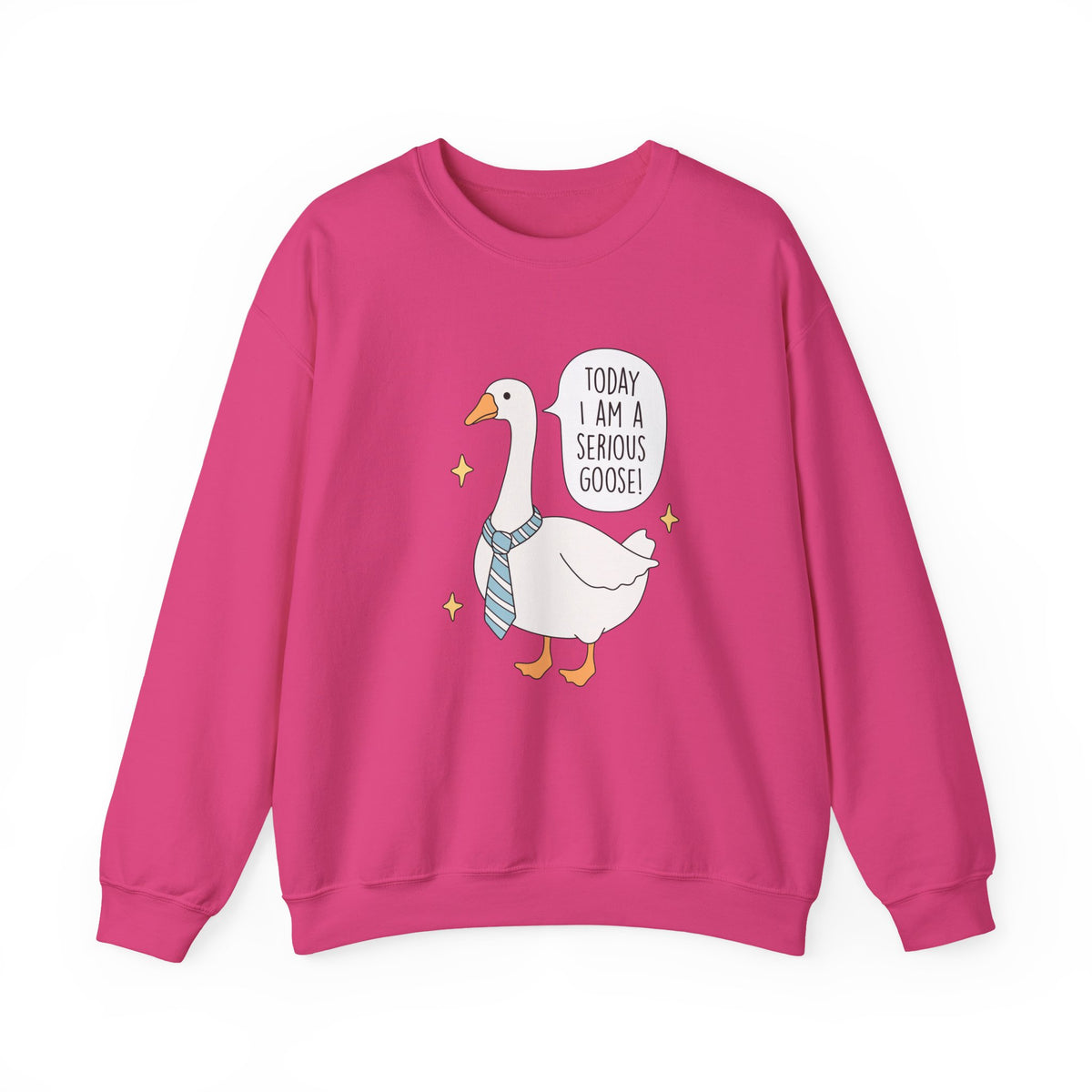 Today I Am A Serious Goose | Silly Goose | Crewneck