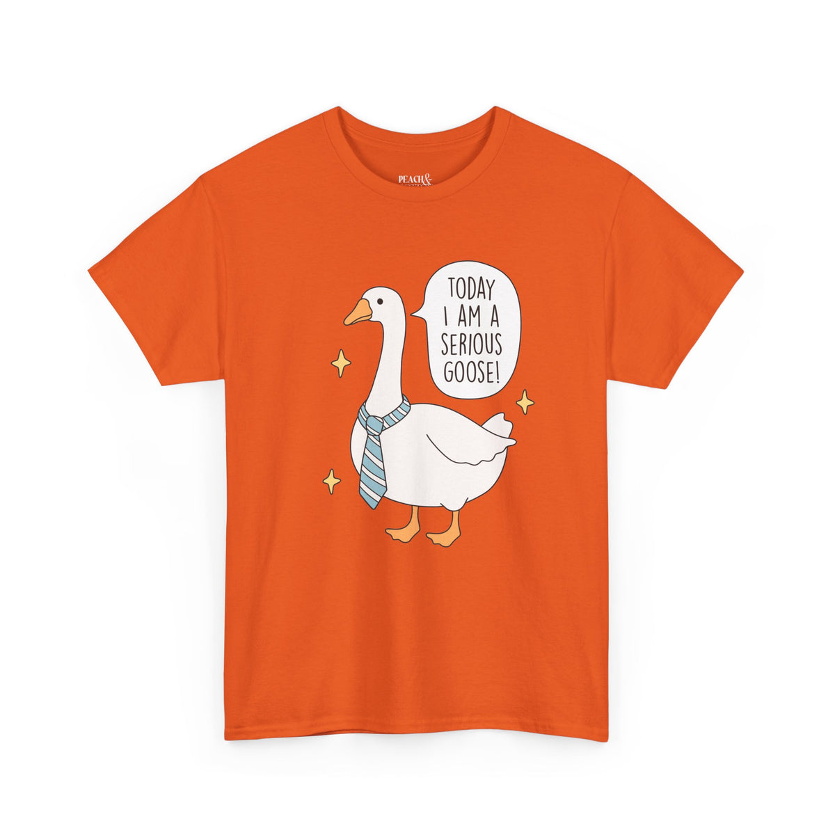 Today I Am A Serious Goose | Silly Goose | T-Shirt