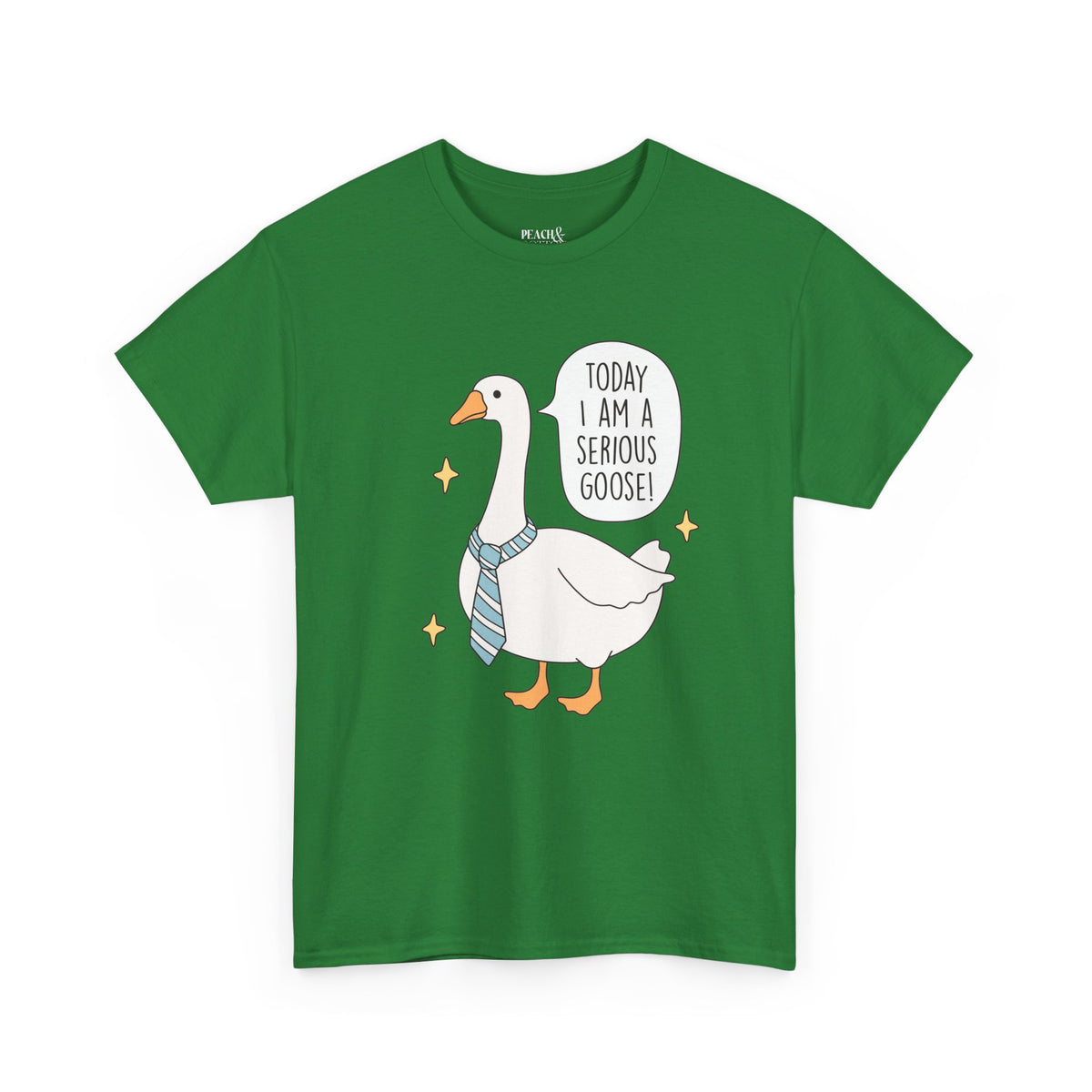 Today I Am A Serious Goose | Silly Goose | T-Shirt