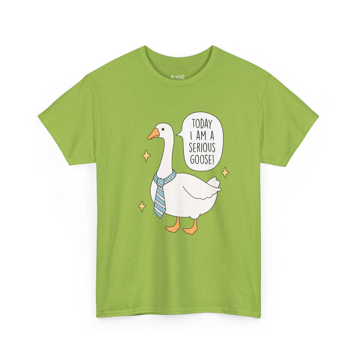 Today I Am A Serious Goose | Silly Goose | T-Shirt