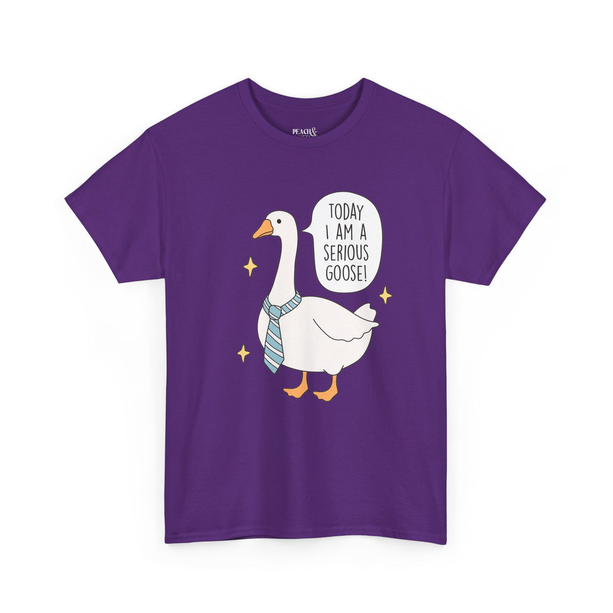 Today I Am A Serious Goose | Silly Goose | T-Shirt